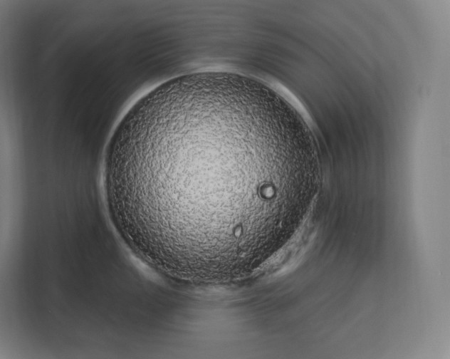 X0000112161149200908211429