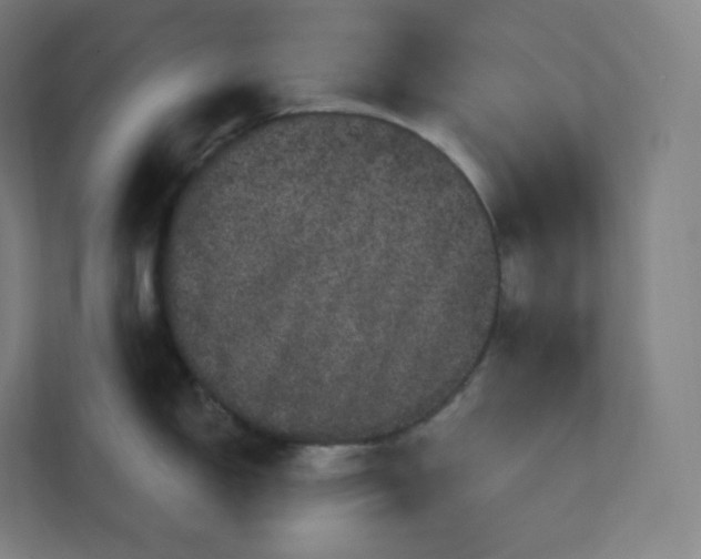 X0000112161150200908211429