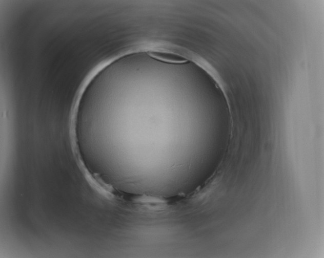 X0000112161152200908211429