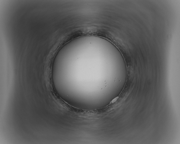 X0000112161153200908211428