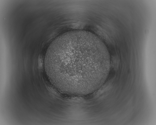 X0000112161154200908211428