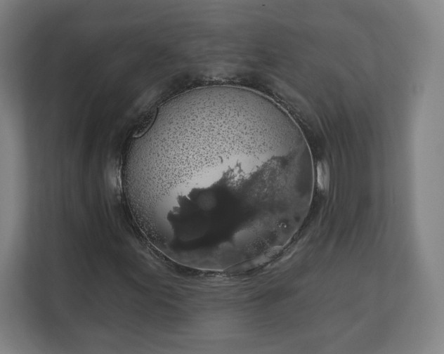 X0000112161155200908211428