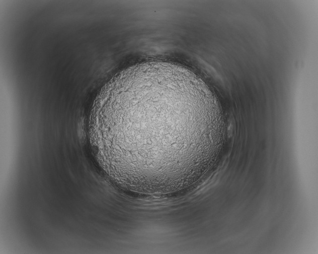 X0000112161156200908211428