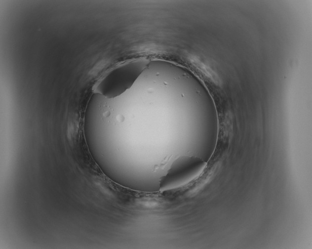 X0000112161157200908211428