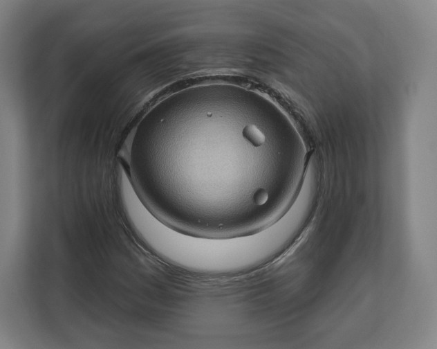 X0000112161161200908211428