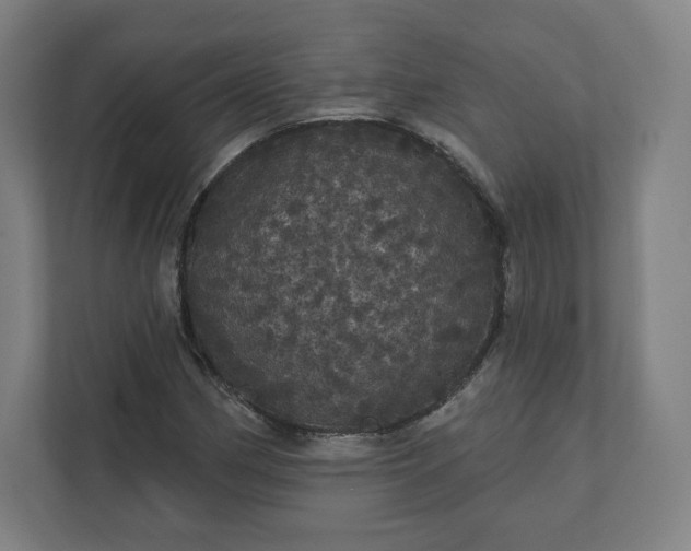 X0000112161162200908211428