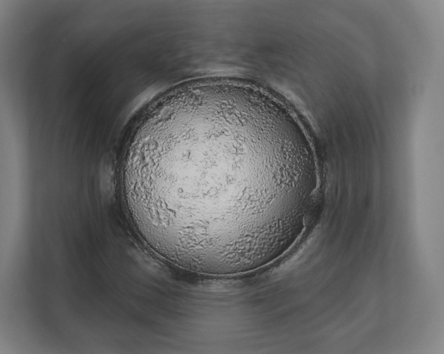 X0000112161163200908211428