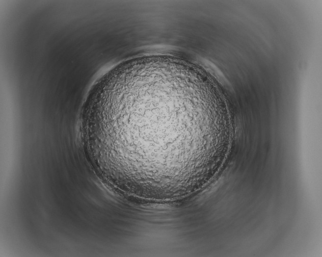 X0000112161164200908211428