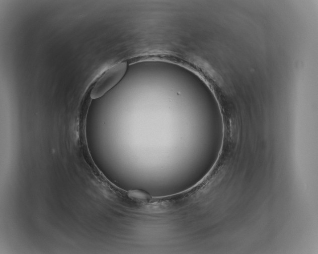 X0000112161165200908211428