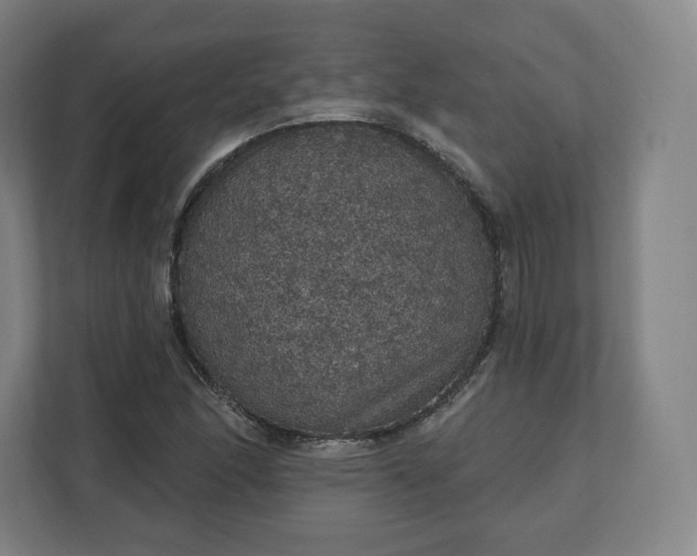 X0000112161166200908211428