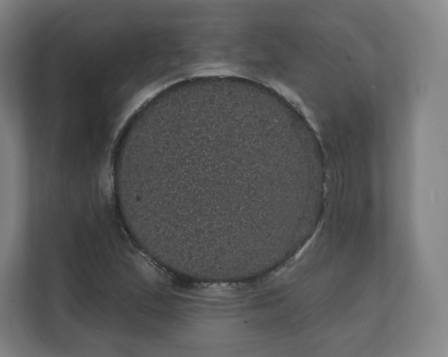 X0000112161167200908211428