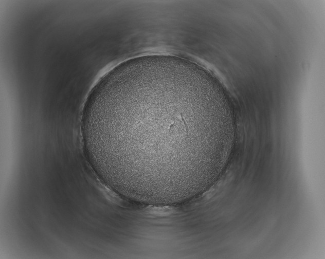 X0000112161168200908211428