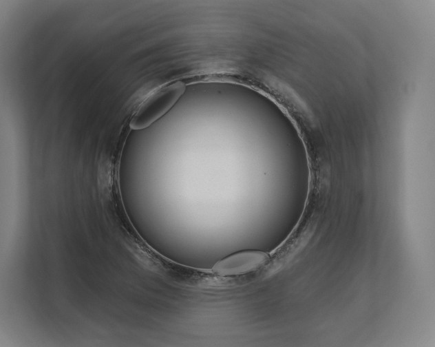 X0000112161169200908211428