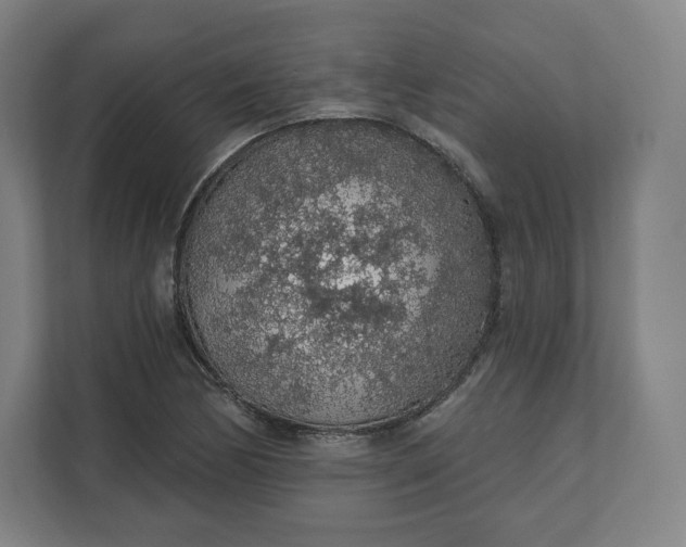 X0000112161170200908211428