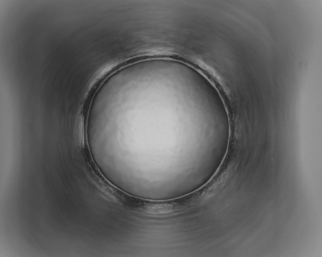 X0000112161171200908211428