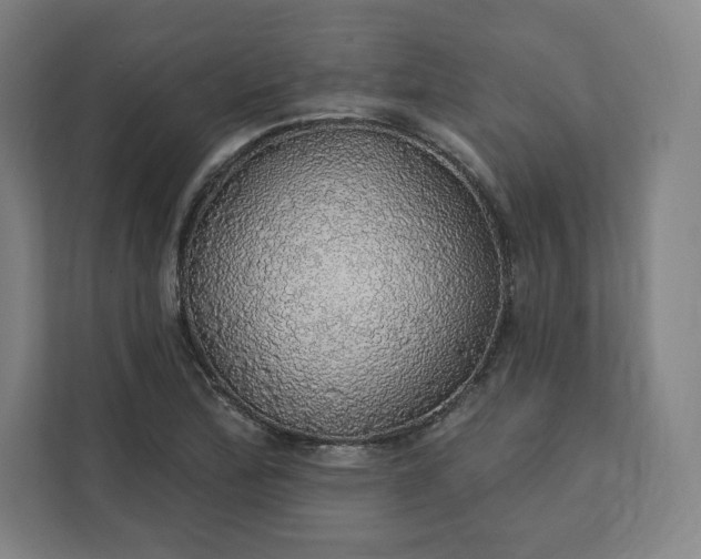 X0000112161172200908211428