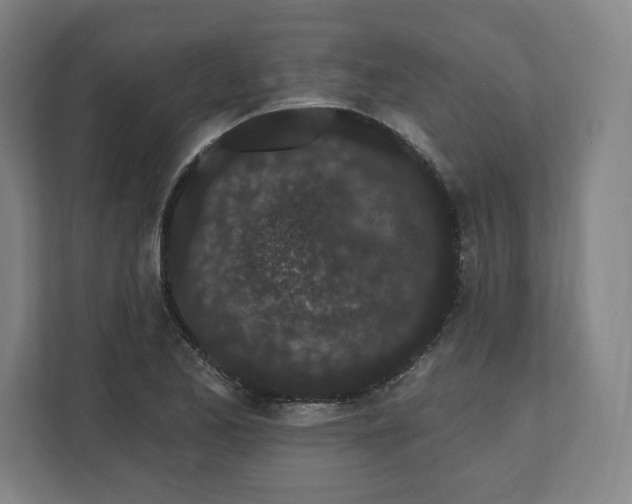 X0000112161173200908211428