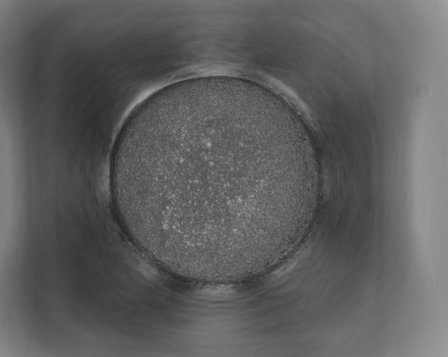 X0000112161174200908211428