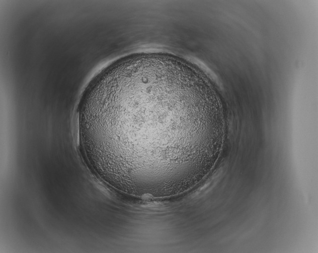 X0000112161175200908211428