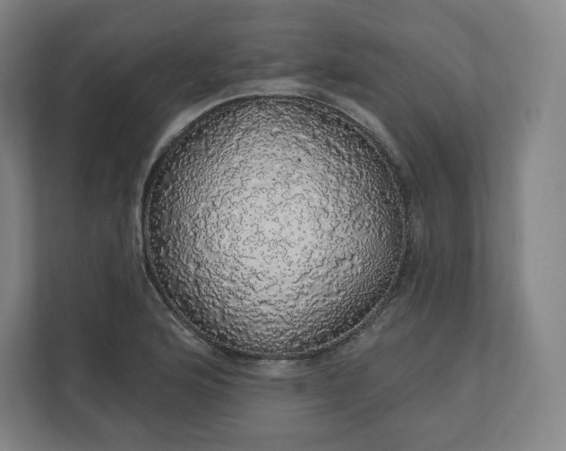 X0000112161176200908211428