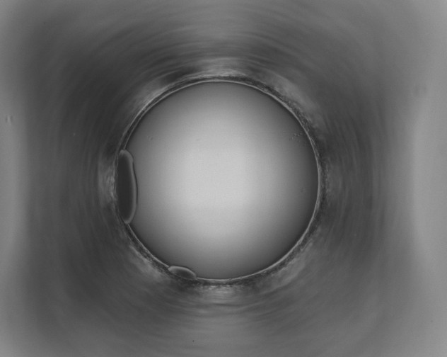 X0000112161177200908211428