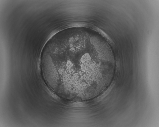 X0000112161178200908211428