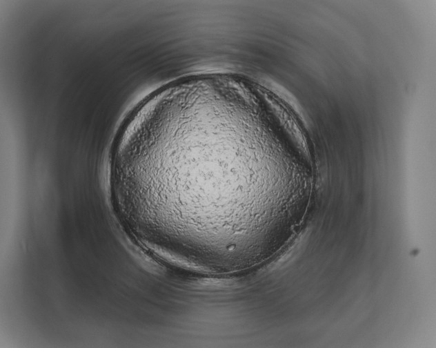 X0000112161179200908211428