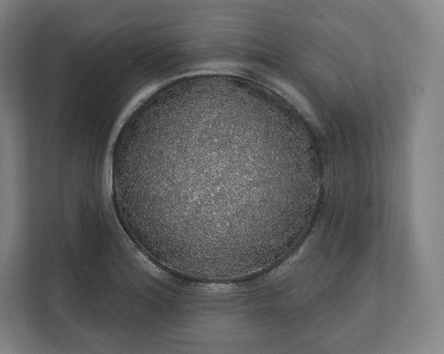 X0000112161180200908211428