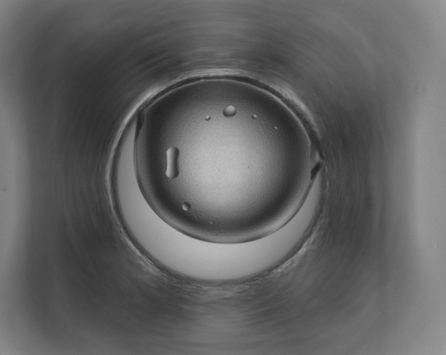 X0000112161181200908211428