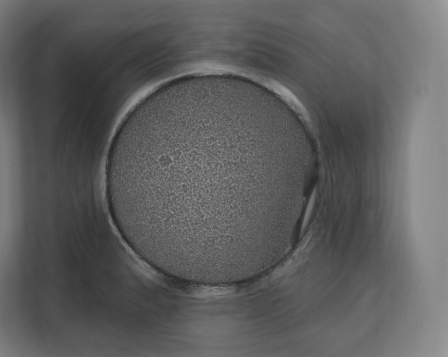 X0000112161183200908211428