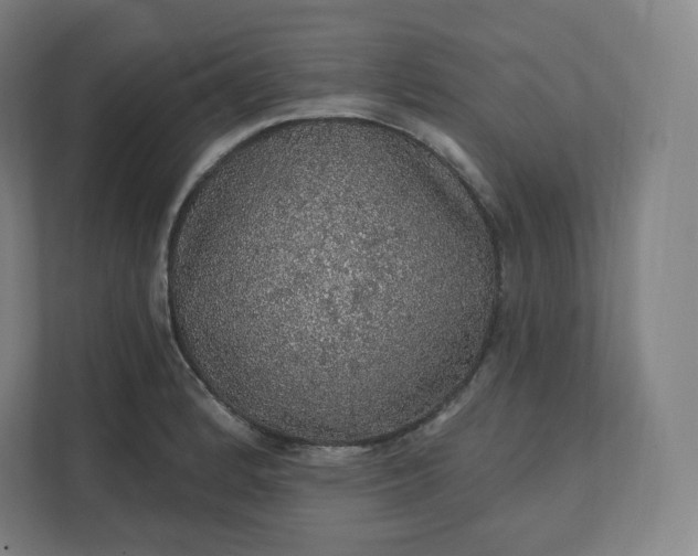 X0000112161184200908211428