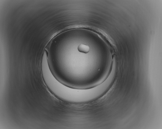 X0000112161185200908211428