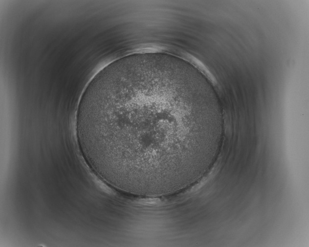 X0000112161186200908211428