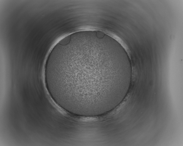 X0000112161187200908211428