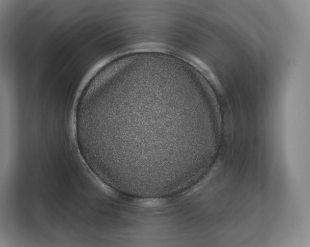 X0000112161188200908211428
