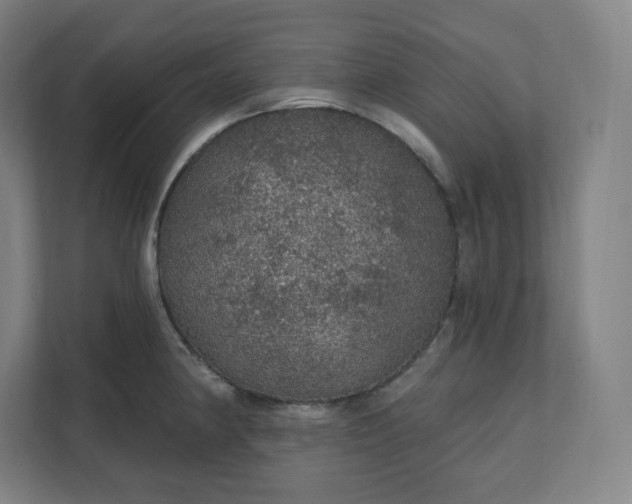 X0000112161190200908211428
