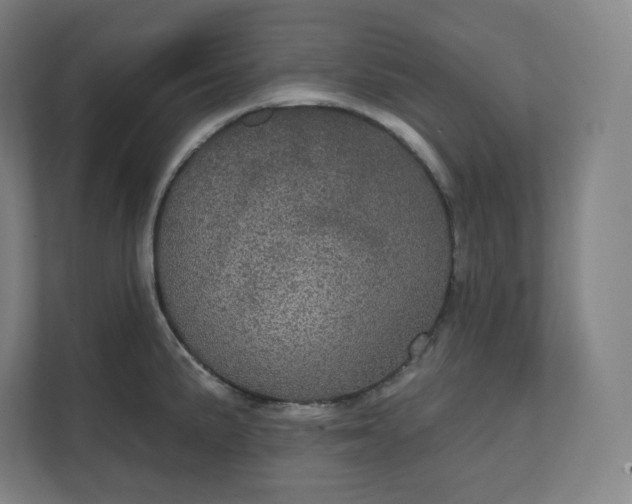 X0000112161191200908211428