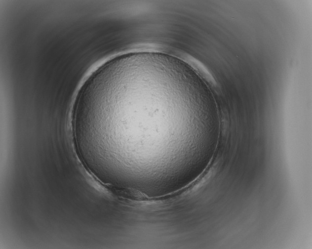 X0000112161192200908211428