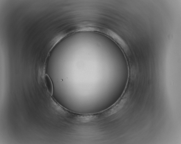 X0000112161193200908211428