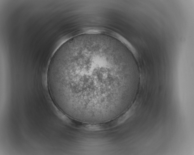 X0000112161194200908211428