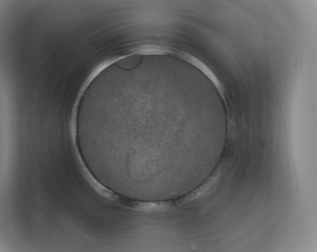 X0000112161195200908211428