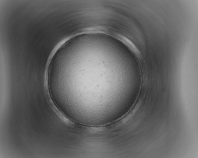 X0000112161196200908211428