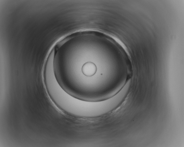 X0000112161197200908211428