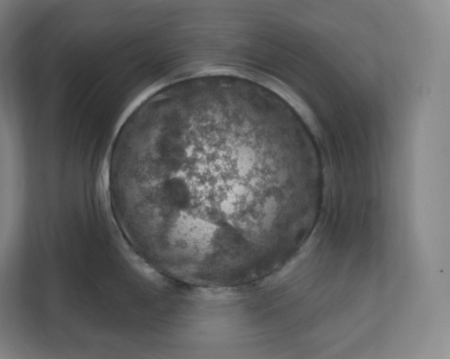 X0000112161198200908211428