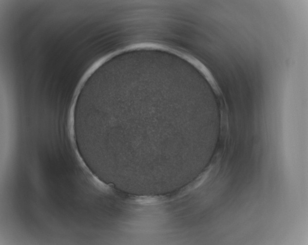 X0000112161199200908211428