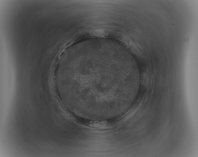 X0000112161201200908211427