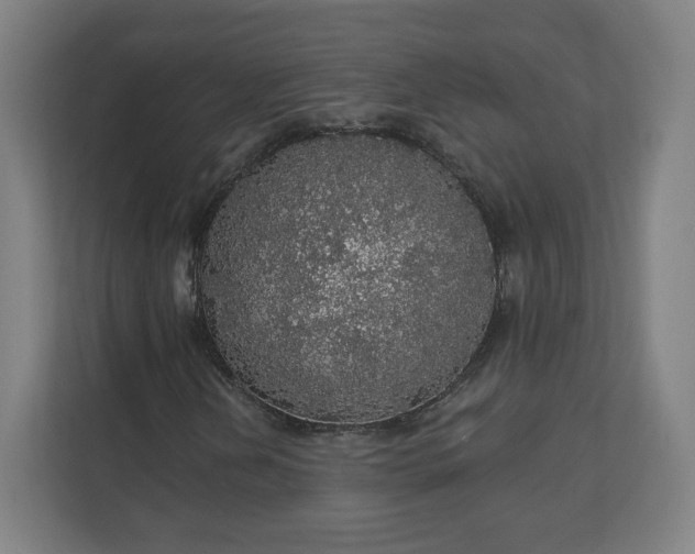 X0000112161202200908211427