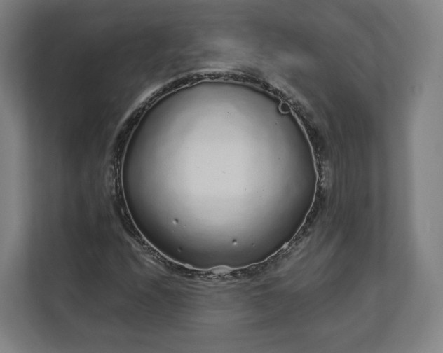 X0000112161208200908211427