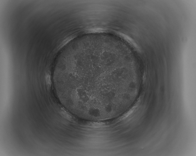 X0000112161209200908211427