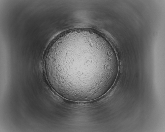 X0000112161212200908211427